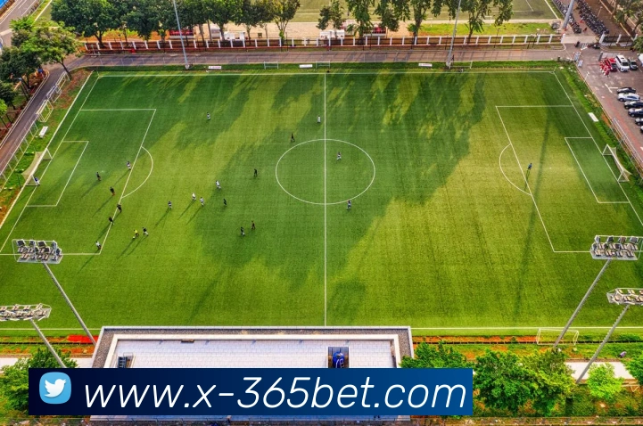 多媒体互动体验